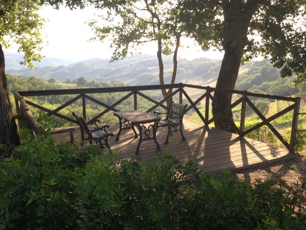 Agriturismo Erta Villa Casole dʼElsa Buitenkant foto