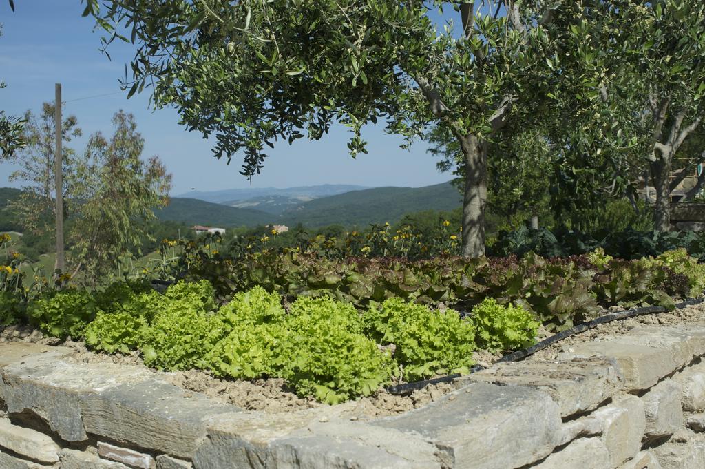 Agriturismo Erta Villa Casole dʼElsa Buitenkant foto