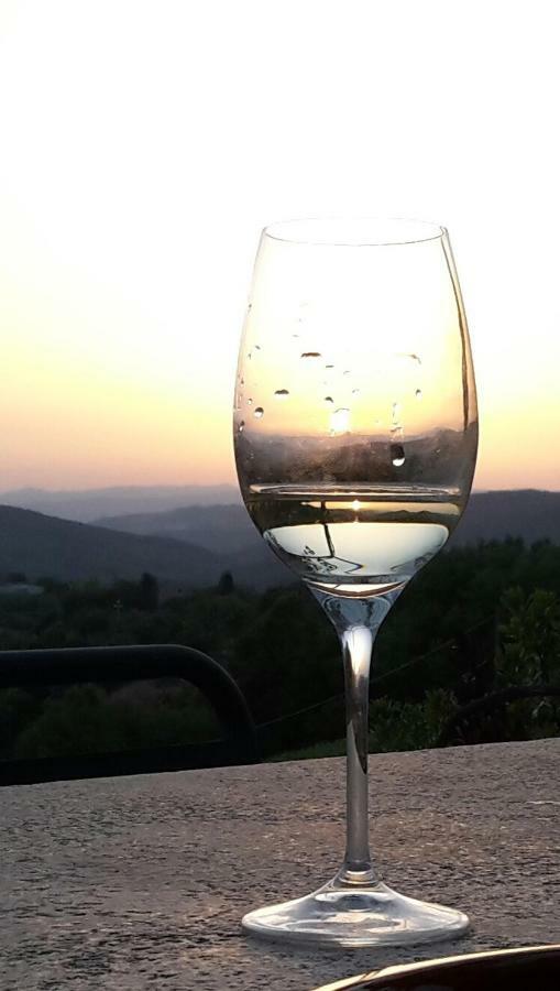 Agriturismo Erta Villa Casole dʼElsa Buitenkant foto