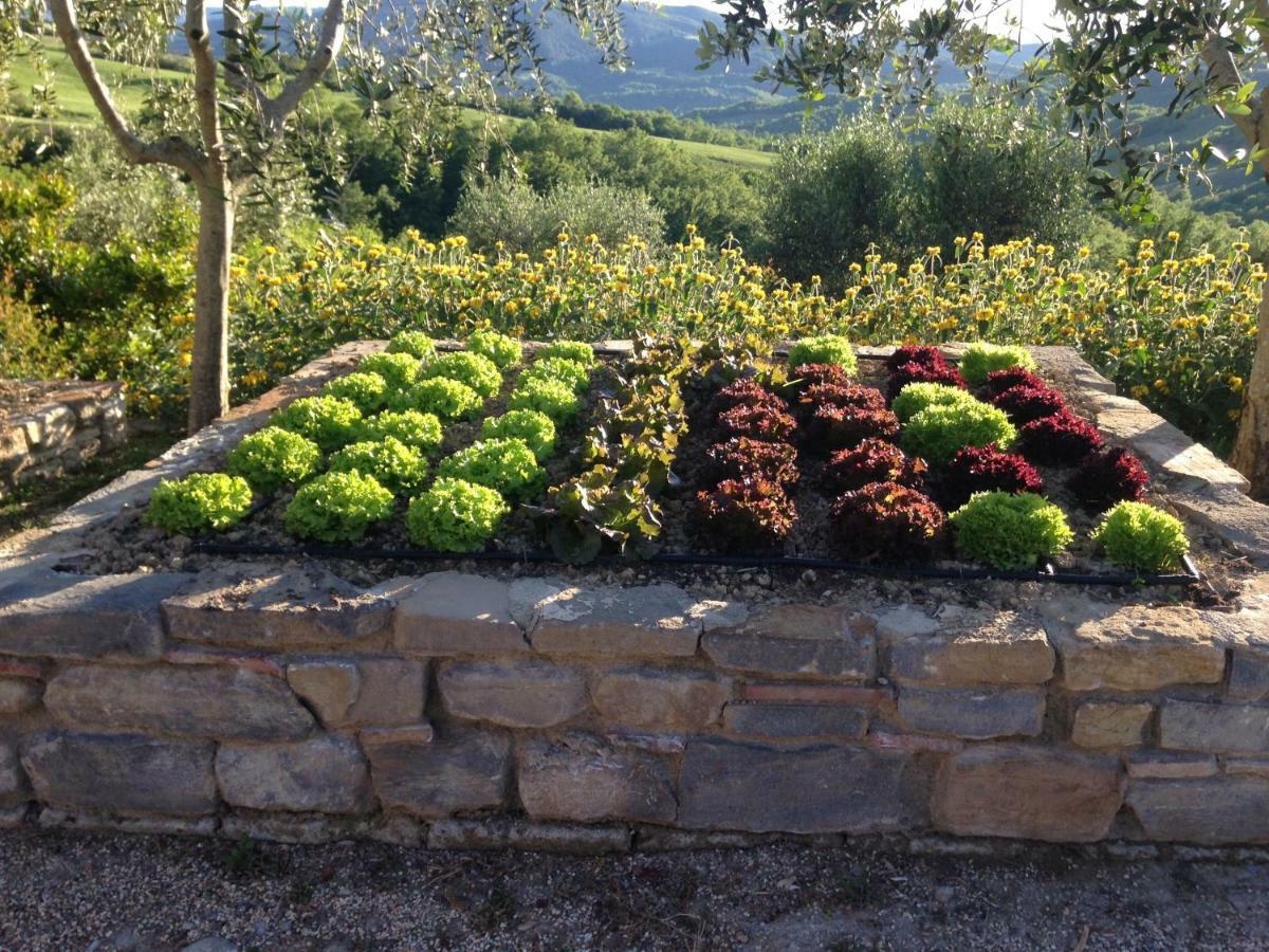 Agriturismo Erta Villa Casole dʼElsa Buitenkant foto