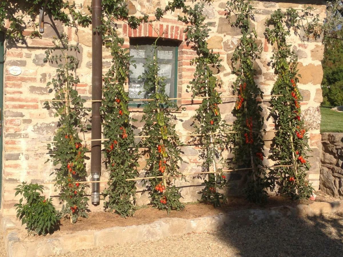Agriturismo Erta Villa Casole dʼElsa Buitenkant foto