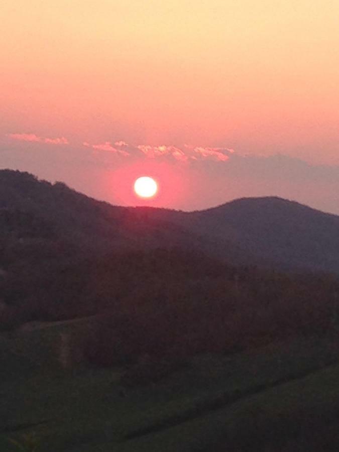 Agriturismo Erta Villa Casole dʼElsa Buitenkant foto