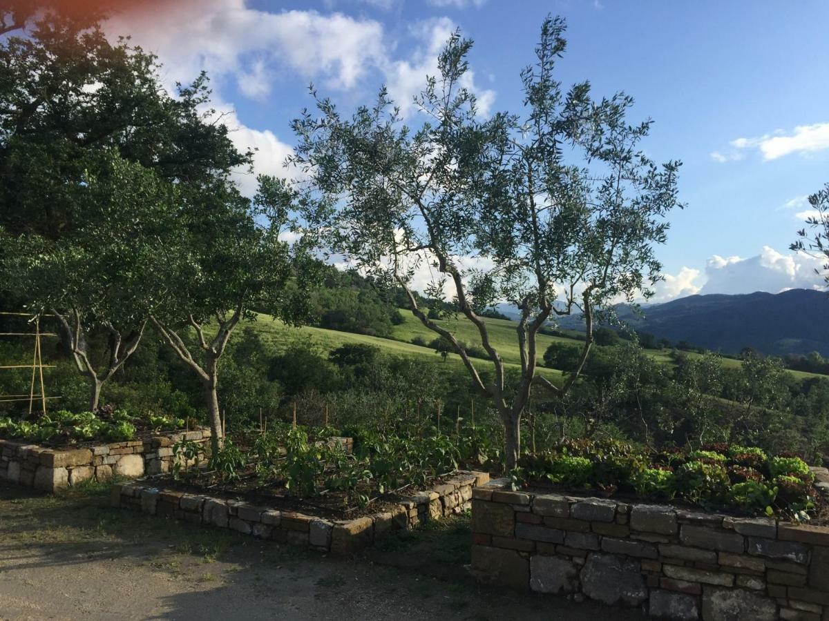 Agriturismo Erta Villa Casole dʼElsa Buitenkant foto